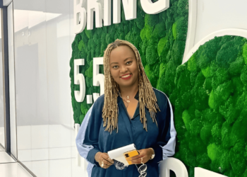 7 Secrets Révolutionnaires de l’Investissement en Afrique : Le Guide d’Edith Brou Bleu