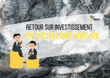 Pisciculture-hors-sol