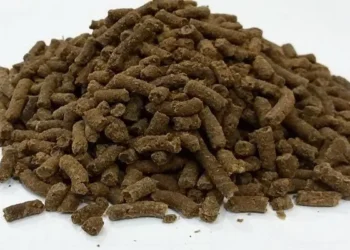 Pisciculture hors sol