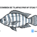Pisciculture-hors-sol-densité-tilapia