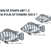 Pisciculture hors sol - tilapia 500 g